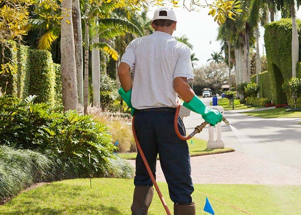About Chippewa Lake MI Pest Control